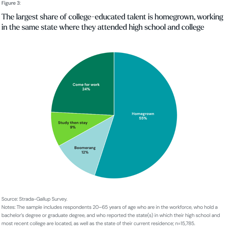 Pie chart of the sources of college-educated talent: 55 percent homegrown, 24 percent come for work, 12 percent boomerang, and 9 percent study then stay